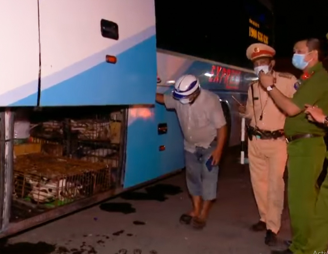 Vu tai xe xe khach nhot CSGT: Oto cho hon 100 con cho, meo da chet