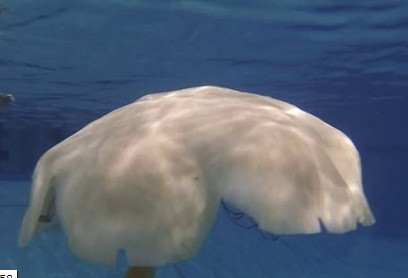 Robot sứa Cyro cũng thực hiện công việc trinh sát dưới nước, trông nó khá giống một con quái vật khổng lồ.