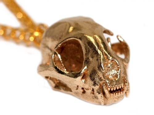 Với công nghệ scan CT hình ảnh động vật, chiếc vòng cổ hình xương đầu mèo này là tác phẩm của Scott Camazine và cũng là cách hoàn hảo để tôn vinh sở thích yêu mèo của bạn.