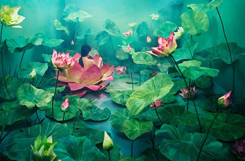 Cảnh sắc âm u trong bức ảnh này đạt được nhờ sử dụng đá khô.