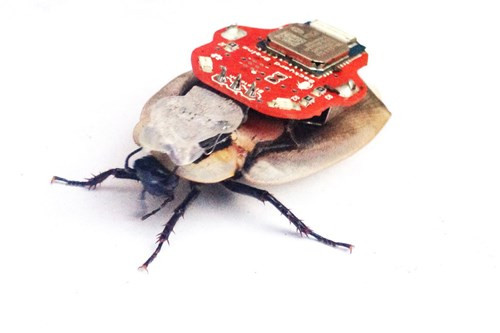 Robot Roboroach là một con gián, được điều khiển từ xa bằng cách cấy các điện cực trong râu của nó. Người dùng có thể điều khiển robot thông qua một ứng dụng được cài trên smartphone. Tuy nhiên, công nghệ này gặp phải sự phản đối liên quan đến vấn đề đạo đức nên Apple và Google đã gỡ bỏ Roboroach khỏi kho ứng dụng của mình.