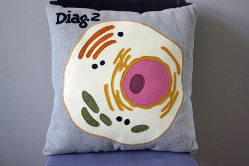 Đến với quầy hàng lưu niệm của nghệ sĩ Rebecca Rodriguez, du khách có thể chọn những chiếc gối tế bào nhân điển hình mà còn có thể lựa gối tế bào hình cây khác.