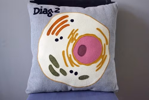 Đến với quầy hàng lưu niệm của nghệ sĩ Rebecca Rodriguez, du khách có thể chọn những chiếc gối tế bào nhân điển hình mà còn có thể lựa gối tế bào hình cây khác.