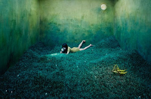 Lee bày tỏ: "Thực tế thật quá tàn nhẫn, đến mức không thể nào biến mọi ước mơ thành hiện thực."