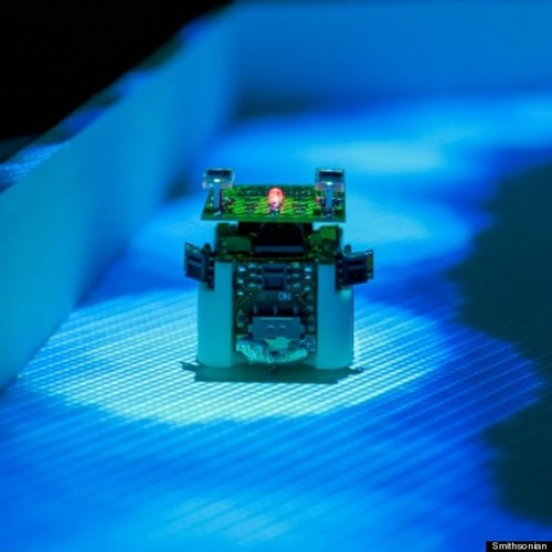 Robot kiến Alice đã được lập trình để bắt chước hành vi của loài kiến để giúp các nhà khoa học nghiên cứu hiệu quả các điều hướng môi trường phức tạp của loài sinh vật bé nhỏ.