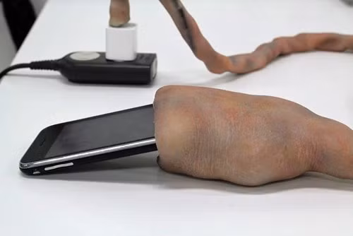 Cáp tăng trưởng là phụ kiện sạc điện thoại cho iPhone có hình dạng như một chiếc dây rốn, nhắc nhở con người về sự sinh sôi và mối liên hệ thần kỳ của em bé và người mẹ.