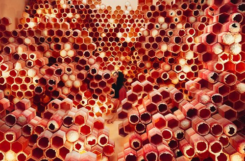 Và giờ thì Lee không cần đến sự hỗ trợ chỉnh sửa bằng kỹ thuật số cho các tác phẩm của mình.