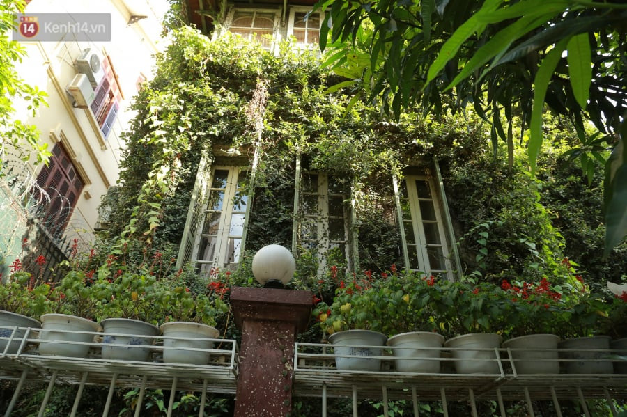 Tuy nhiên, bạn không nên ham hố nhà quá nhiều cửa thông nhau, bởi như vậy cũng không tốt trong phong thủy tiền bạc khó lòng tích trữ lại trong nhà. Bạn cũng đừng chọn những ngôi nhà gần đường cao tốc, đường lớn đâm thẳng vào cửa chính sẽ không tốt cho tài lộc.