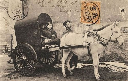 Một năm 4 lần, tức mỗi mùa, các tịnh thân sư đều trình Tổng quản Phủ nội vụ những đứa trẻ đã tịnh thân. Tịnh thân sư ký một bản giao kèo với cha mẹ hoặc người giám hộ của đứa trẻ, gọi là "văn thư", để tránh phiền phức về sau. Nhưng điều quan trọng là tịnh thân sư coi đó là bằng chứng. Sau này, khi đứa trẻ giàu sang, tịnh thân sư sẽ hưởng một khoản tiền.