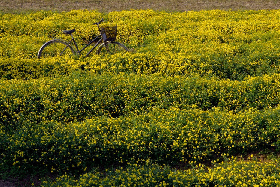 Theo Cổng thông tin điện tử của tỉnh, Hưng Yên nằm ở tả ngạn sông Hồng, phía Đông giáp tỉnh Hải Dương, phía Nam giáp Thái Bình, phía Tây và Tây Nam giáp Hà Nam, phía Bắc liền kề thủ đô Hà Nội và tỉnh Bắc Ninh.