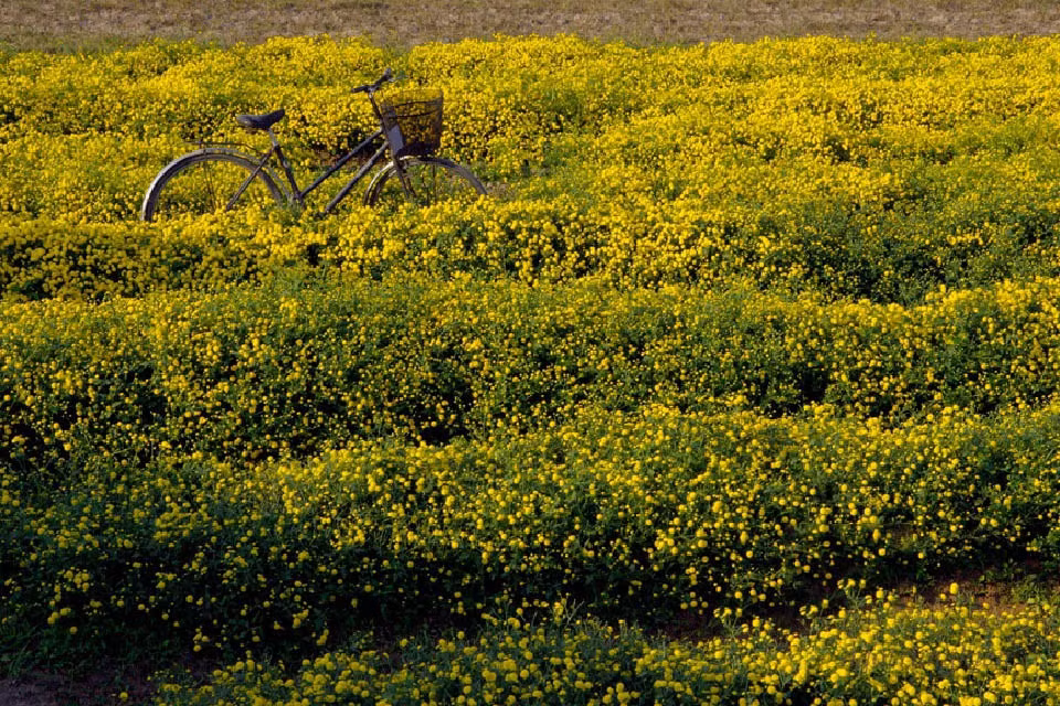 Theo Cổng thông tin điện tử của tỉnh, Hưng Yên nằm ở tả ngạn sông Hồng, phía Đông giáp tỉnh Hải Dương, phía Nam giáp Thái Bình, phía Tây và Tây Nam giáp Hà Nam, phía Bắc liền kề thủ đô Hà Nội và tỉnh Bắc Ninh.