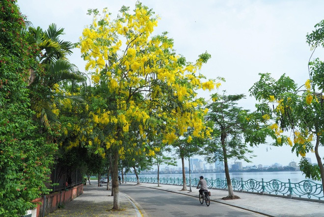 br/> Hồ Tây thuộc quận Tây Hồ ở TP Hà Nội. Quận này hiện có 8 phường: Bưởi, Nhật Tân, Phú Thượng, Quảng An, Thụy Khuê, Tứ Liên, Xuân La và Yên Phụ. Ảnh: Giang Trịnh.