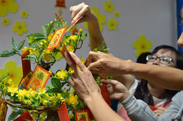 Hai loc dau nam Tan Suu sao cho dung de mang tai loc, may man ve nha