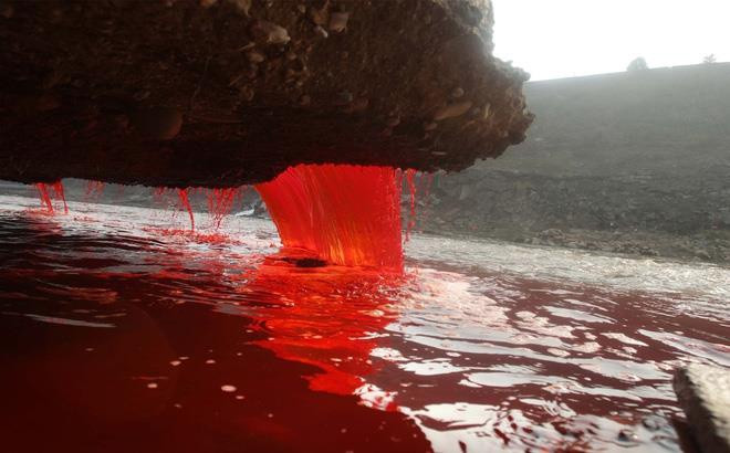 Theo sách "Khám phá những vùng đất bí ẩn", Thác Máu là địa danh rất nổi tiếng ở châu Nam Cực. Đây là châu lục khô hạn nhất thế giới, nhiều vùng hàng trăm năm không có mưa, thậm chí có nơi đã 2 triệu năm chưa hề có mưa.