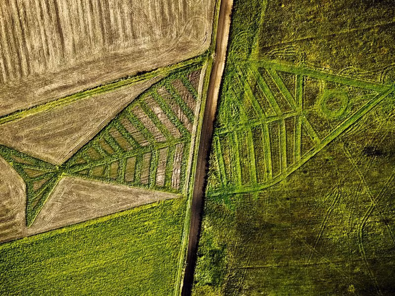  Ba Lan - Ukraina: Một khu vực biên giới giữa Ba Lan và Ukraina được trang trí bằng hình những con cá khổng lồ trên khu đất nông nghiệp với đường phân cách chia đôi các con cá. Nghệ sĩ Jarosław Koziara cùng những nghệ sĩ người Ba Lan và Ukraina đã tạo ra tác phẩm nghệ thuật này với thông điệp văn hóa và thiên nhiên vượt ra khỏi biên giới con người tạo nên. Ảnh: Wojciech Pacewicz.