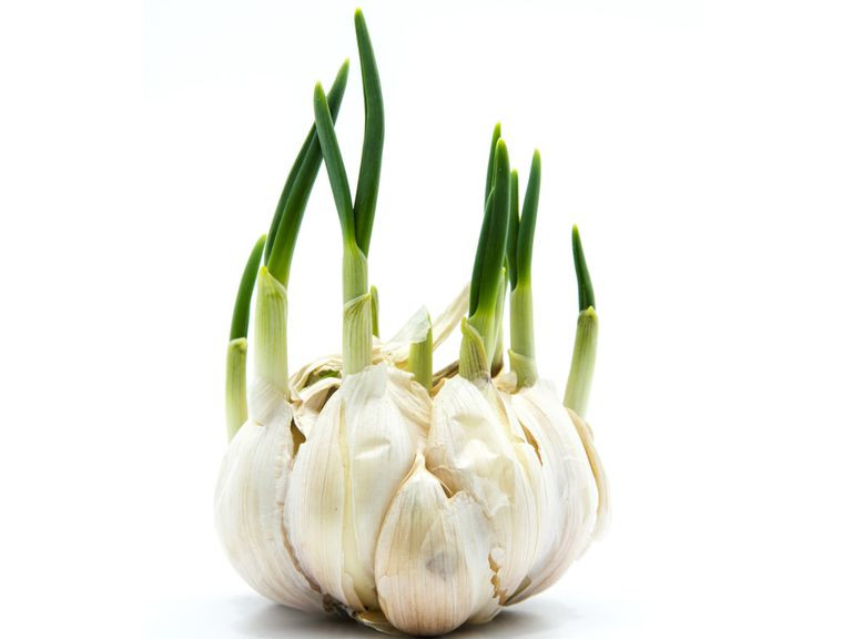 2 thuc pham moc mam tang gap doi dinh duong, loai thu 3 can tranh