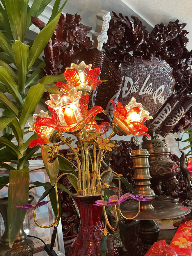 Choang voi ngoi nha dung toan go huong quy hiem-Hinh-16