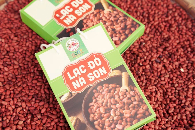 Trong loai cay co cu, boc ra hat do nhu son ban gia hoi-Hinh-5