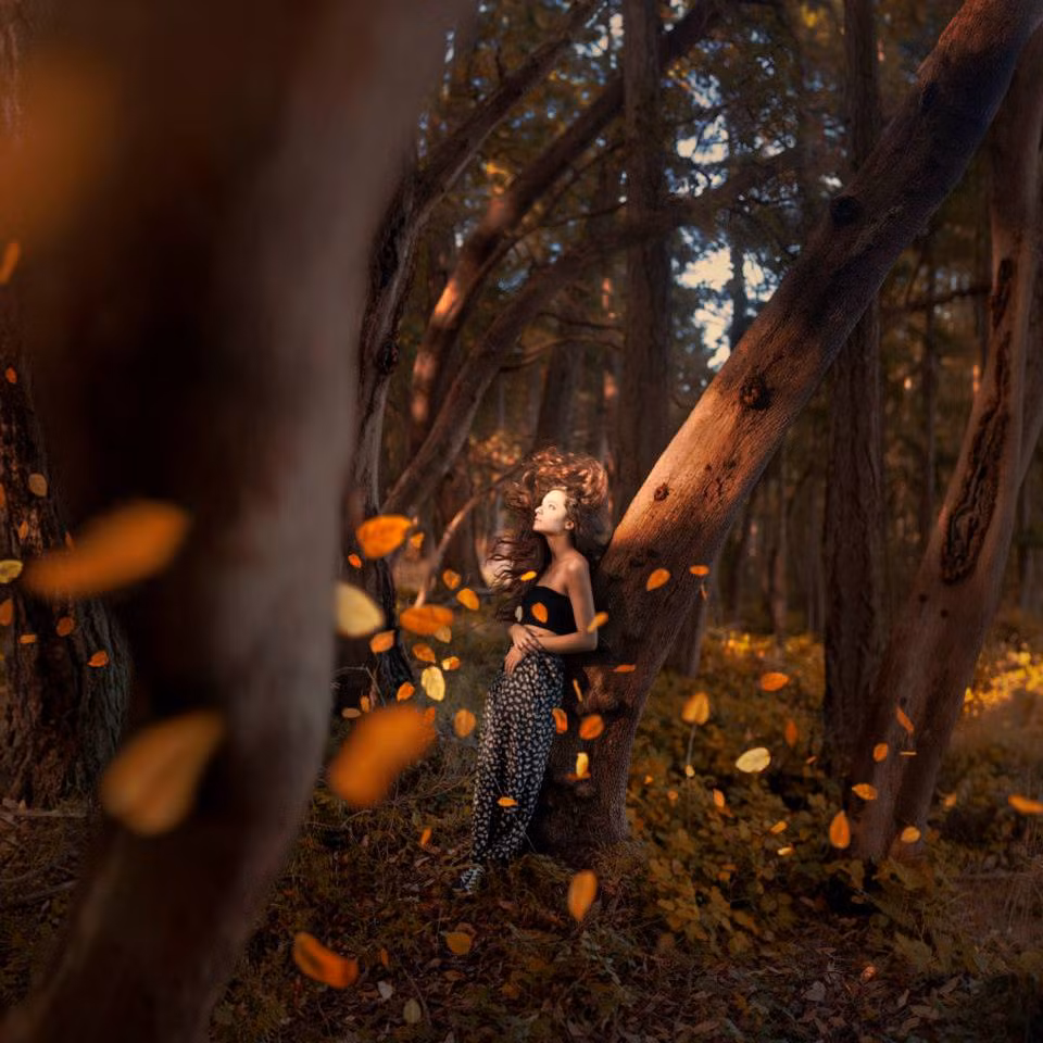 Rob Woodcox từng nói với nhiều trang mạng nghệ thuật rằng anh không bao giờ "chụp ảnh chỉ để cho vui hoặc chụp chỉ để cho ra những bức ảnh đẹp mà sáo rỗng".