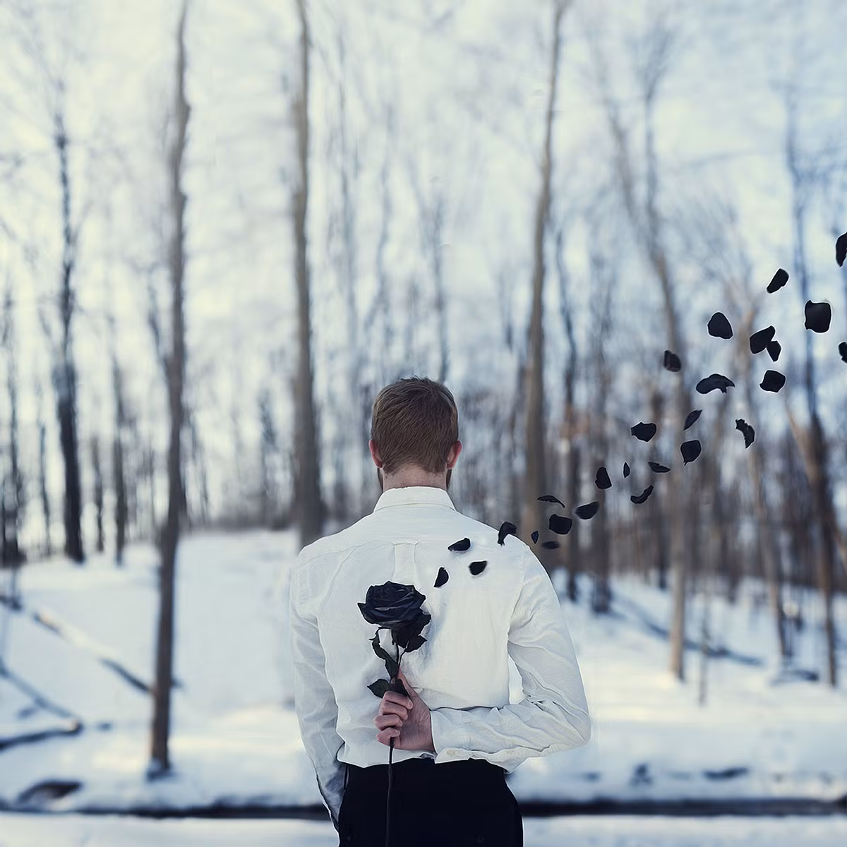 Câu chuyện về một chàng trai cô đơn, ôm những vết thương của tình yêu trong quá khứ mô tả trong ảnh của Rob Woodcox.