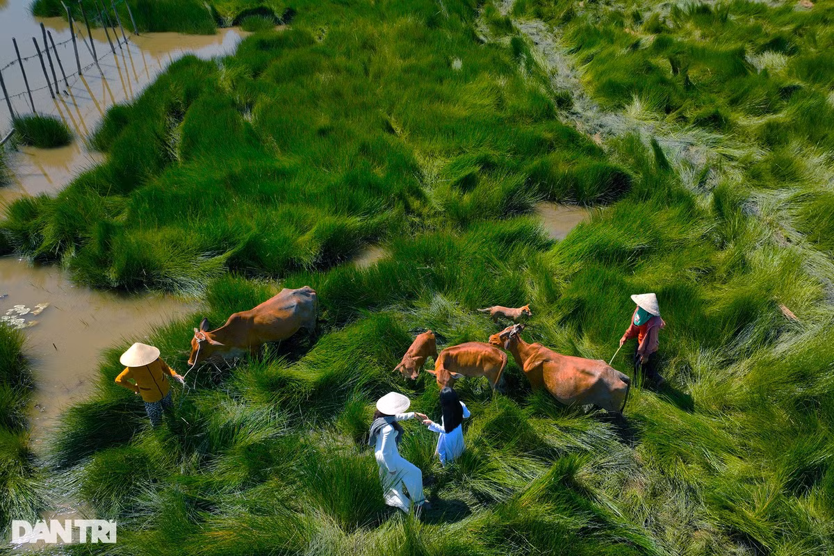 "Những tháng hè này, chúng tôi tiếp nhiều đoàn chụp ảnh từ các miền đổ về. Có ngày diễn 2 suất, cũng có ngày chúng tôi được 4-5 suất. Cũng có đồng ra đồng vào, thêm tí mắm tí thịt cá cho cuộc sống hàng ngày", bà Huệ nói. Ảnh: Cảnh December.