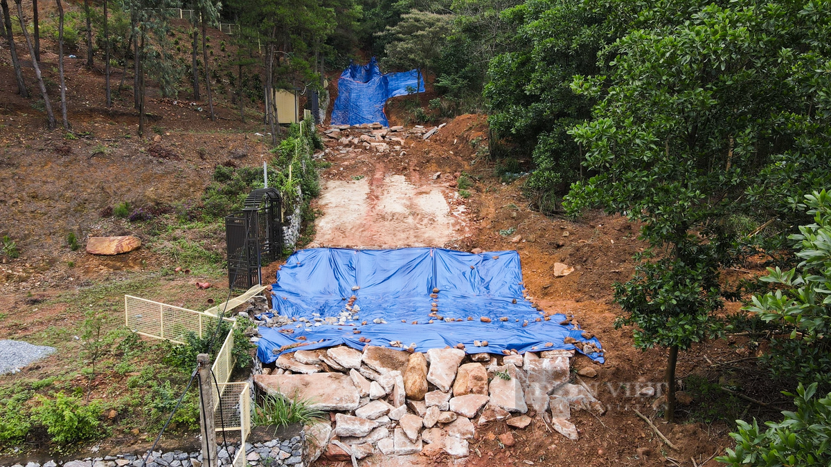 Người dân trong khu vực cho biết, mấy năm gần đây nhiều người đã về đây đầu tư kinh doanh homestay.