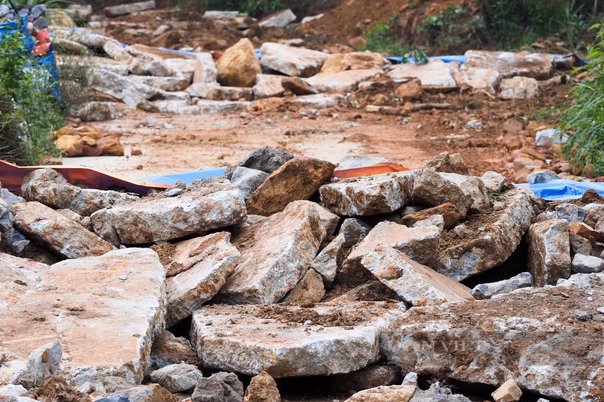 "Họ chặt cây, san ủi đường khiến nhiều đồi bị san lấp. Có những khu vực không còn một cây nào", một người dân chia sẻ.