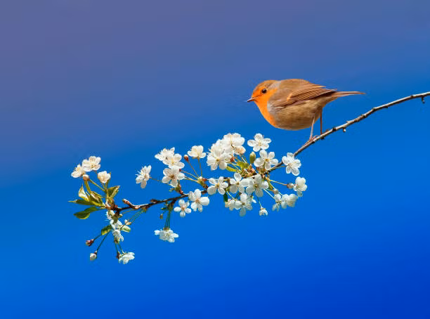 Sinh Âm lịch kết thúc bằng 4 số này, giàu có đến muộn - Hình 2 Sinh Am lich ket thuc bang 4 so nay, giau co den muon-Hinh-2