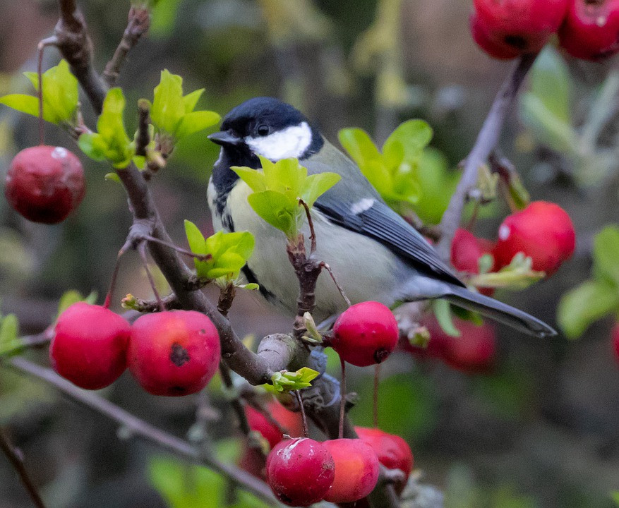 Sinh Âm lịch kết thúc bằng 4 số này, giàu có đến muộn - Hình 3 Sinh Am lich ket thuc bang 4 so nay, giau co den muon-Hinh-3