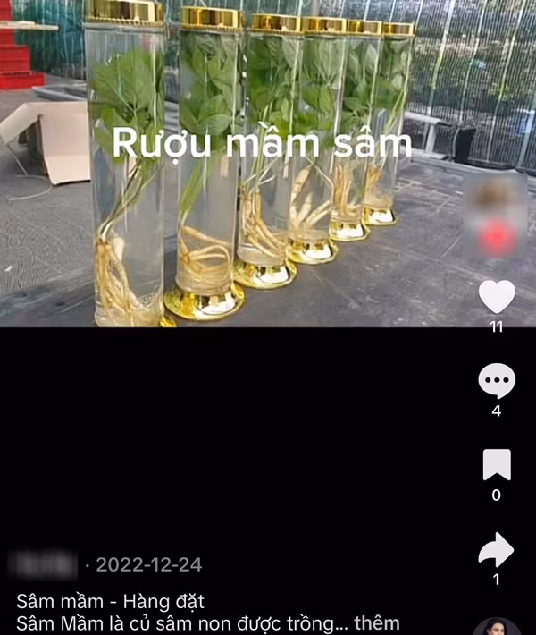 Chuyen gia noi gi ve trao luu an nhan sam mam cai thien suc khoe?-Hinh-3