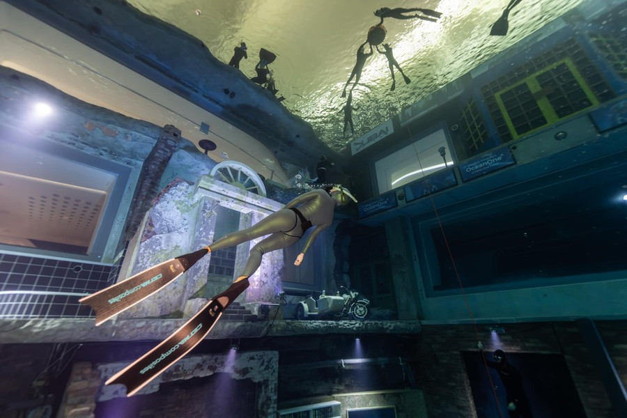 Deep Dive Dubai cung cấp cả khóa học cho cả thợ lặn mới làm quen và thợ lặn đã được chứng nhận