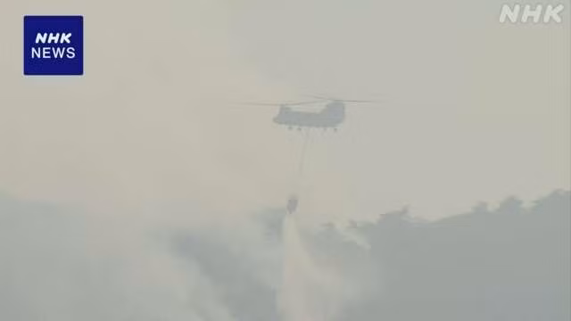 Nhật Bản nỗ lực dập lửa khi cháy rừng tại tỉnh Yamagata kéo dài - Hình 2 Nhat Ban no luc dap lua khi chay rung tai tinh Yamagata keo dai-Hinh-2