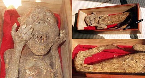 Xác ướp một "người cá" khác đang được bảo quản tại đền Myouchi ở thành phố Kashiwazaki, tỉnh Niigata. "Người cá" này có chiều dài khoảng 30cm.