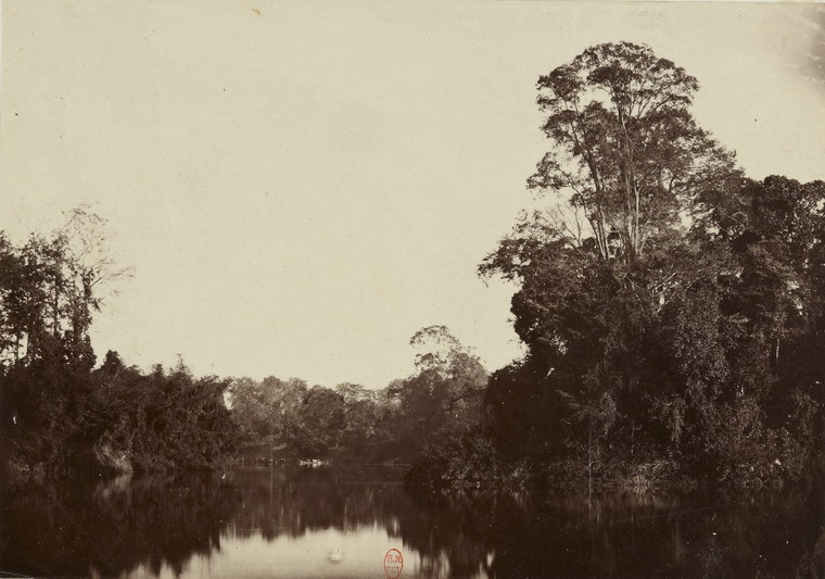 Rừng rậm bên sông Sài Gòn.