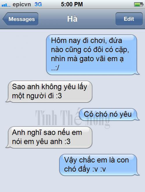 Có chó nó yêu anh...