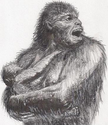 Hiện tại, có nhiều giả thuyết về sự tồn tại của người rừng Batutut. Thuyết đầu tiên của nhà động vật bí ẩn học Loren Coleman, cho rằng Batutut là phần còn sót lại của nhóm người vượn đứng thẳng hay Neanderthal.