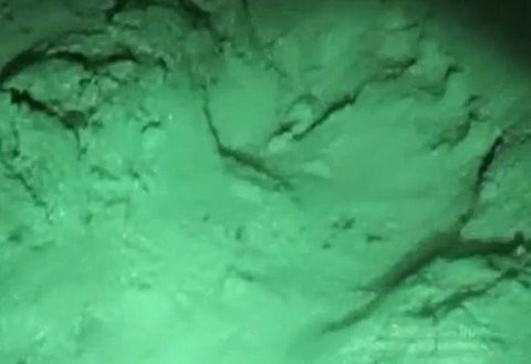 Năm 2012, các nhà thám hiểm của chương trình truyền hình Destination Trut (Mỹ) cho rằng họ đã phát hiện thấy dấu vết của dã nhân Batutut (ảnh) sau khi sử dụng thiết bị ảnh nhiệt trong các khu rừng thuộc Khu bảo tồn thiên nhiên Vũ Quang, Hà Tĩnh (Việt Nam). Tuy nhiên, bằng chứng này chưa thể giúp họ xác định được người rừng có thực sự tồn tại hay không.