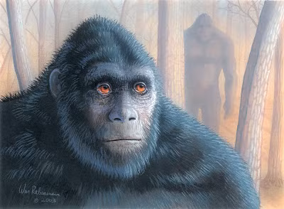 Jenkins mô tả, so với các loài vượn thông thường, “vượn đá” to lớn, cơ bắp hơn và cách hành xử “người” hơn. Chúng thường là hét và lắc nắm đấm để dọa dẫm kẻ thù của mình. Đáng tiếc rằng trong điều kiện chiến tranh, không có tấm ảnh nào được ghi lại.