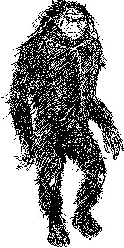 Vào năm 1966, đã có báo cáo rằng một số binh sĩ Mỹ bắt được một người vượn. Từ vùng núi, đối tượng đã được cho vào lưới và chở bằng trực thăng đến Đà Nẵng. Báo chí Mỹ khi đó đã có bài viết về việc một con khỉ không đuôi lớn ở Việt Nam đã làm gián đoạn các hoạt động quân sự.