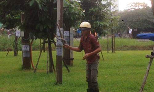 ...bắt gọn con rắn bằng kinh nghiệm của mình...