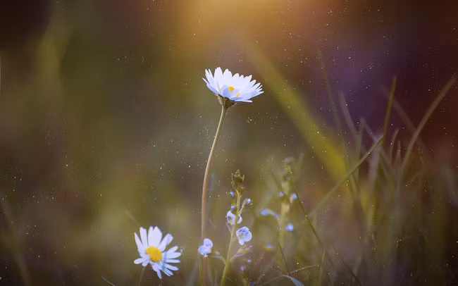 Người sinh ngày Âm lịch này làm đâu thắng đó, thu nhập tăng cao nhanh chóng nên tinh thần vô cùng phấn khởi. 