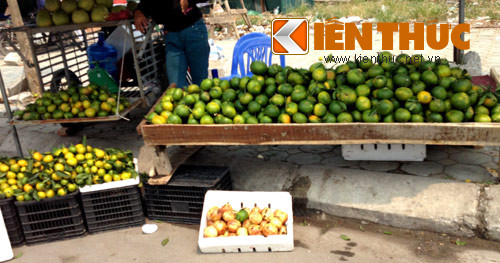 Trên các tuyến phố chuyên bán đồ vỉa hè như Nguyễn Xiển, Nguyễn Trãi, Ngọc Hồi... xuất hiện hàng loạt các điểm bán cam. Cam được đổ thành những đống lớn để người mua tha hồ chọn lựa. Mặc dù phơi nắng cả ngày nhưng cam vẫn luôn tươi xanh.