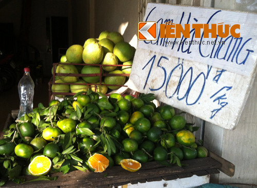 Loại cam này có đặc điểm là vỏ mỏng, màu xanh hoặc xanh hơi vàng, tép rất mọng nước, màu vàng chanh và đặc biệt là không có hạt.