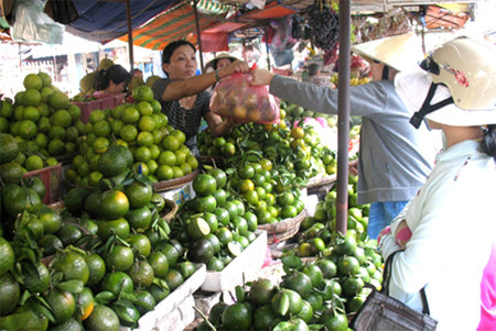 Dựa vào những đặc điểm trên người tiêu dùng có thể phân biệt được cam Việt và cam Trung Quốc.