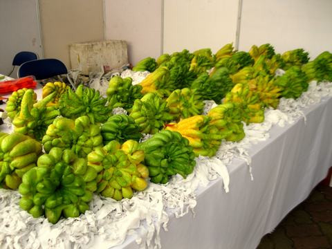Ngoài hàng lưu niệm thì các loại quả Tết như phật thủ, bưởi cũng xuất hiện tại hội chợ.