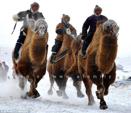 Người Mông Cổ cũng sử dụng nhiều loại vũ khí khác như lưỡi kiếm cong giúp họ chiến đấu thuận lợi ngay cả khi đang trên lưng ngựa hay trên mặt đất. Chùy, búa, dao găm cũng là những vũ khí phổ biến. Vũ khí tấn công từ xa phổ biến nhất chính là cung tên. Trong sử sách, khả năng dùng cung tên của người Mông Cổ cũng đã được công nhận. Họ sử dụng nhiều loại tên nổi tiếng, đặc biệt là tên còi (một loại mũi tên rỗng có khả năng tạo ra âm thanh như tiếng huýt).