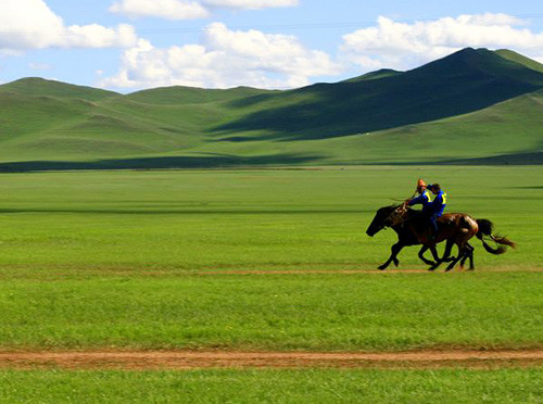 Người Mông Cổ có hai lối đánh nổi bật đó là bất ngờ đánh nhanh thắng nhanh và giả vờ thua trận, rút chạy rồi bất ngờ quay lại phản công. Cả hai chiến thuật này đều làm cho hàng ngũ địch bị mất tinh thần, rối loạn. Nhiều tướng lĩnh Đông Âu đã bị thất trận trước chiến thuật thứ hai. Người Mông Cổ cũng là bậc tiền bối trong lĩnh vực bao vây và bắt giữ con tin. Sự kết hợp giữa đội quân tinh nhuệ và chiến thuật thông minh đã làm nên nhiều chiến thắng huy hoàng.