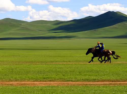 Người Mông Cổ có hai lối đánh nổi bật đó là bất ngờ đánh nhanh thắng nhanh và giả vờ thua trận, rút chạy rồi bất ngờ quay lại phản công. Cả hai chiến thuật này đều làm cho hàng ngũ địch bị mất tinh thần, rối loạn. Nhiều tướng lĩnh Đông Âu đã bị thất trận trước chiến thuật thứ hai. Người Mông Cổ cũng là bậc tiền bối trong lĩnh vực bao vây và bắt giữ con tin. Sự kết hợp giữa đội quân tinh nhuệ và chiến thuật thông minh đã làm nên nhiều chiến thắng huy hoàng.