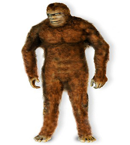 “Tôi cũng nghi ngờ bản thân mình, cũng không tin, nhưng đó rõ ràng không phải là một con gấu và bạn có thể nhìn thấy lông trên người nó”. Sinh vật này có bờ vai rộng, và nhỏ dần, trong khi gầu thì lại có phần giữa lớn. Gấu khi đứng cũng khác, nó thường đưa các móng vuốt ra, trong khi dáng đứng này lại giống dáng người hơn.