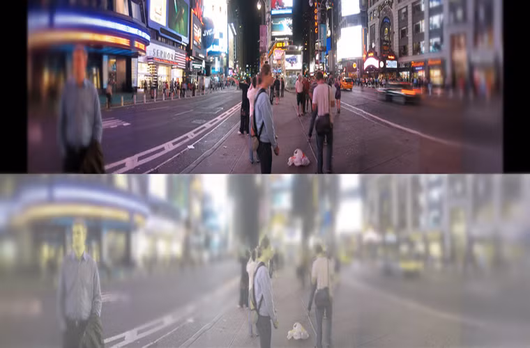 Mèo nhiều khi "cận thị" hơn con người: Một đối tượng mà chúng ta có thể thấy rõ tại 30m thì mèo sẽ cần phải thêm 6m nữa mới có thể nhìn rõ.